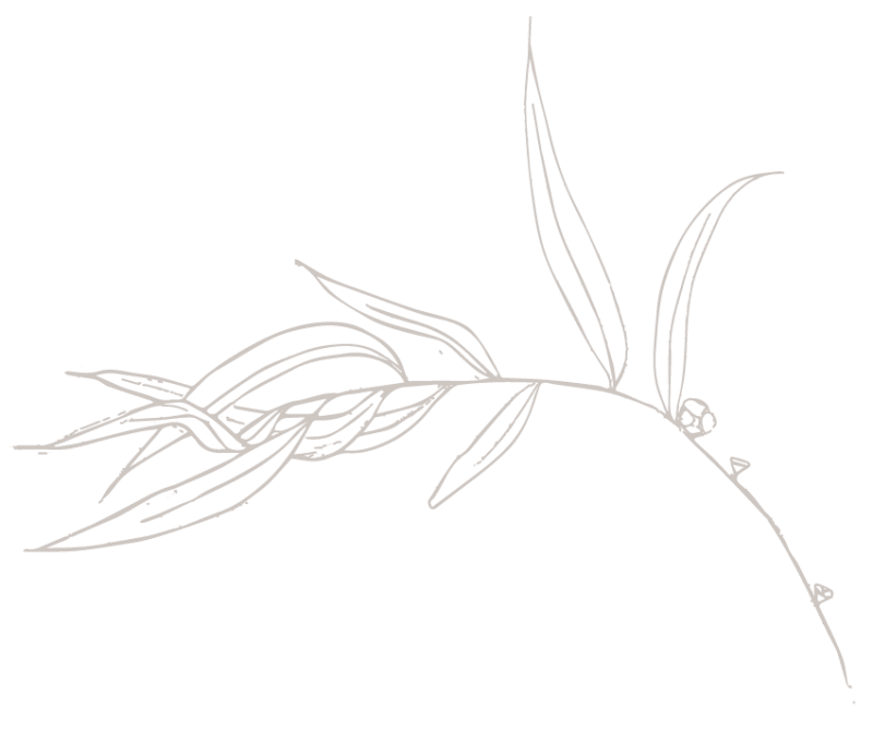 A9R9030.png A9R9030.png